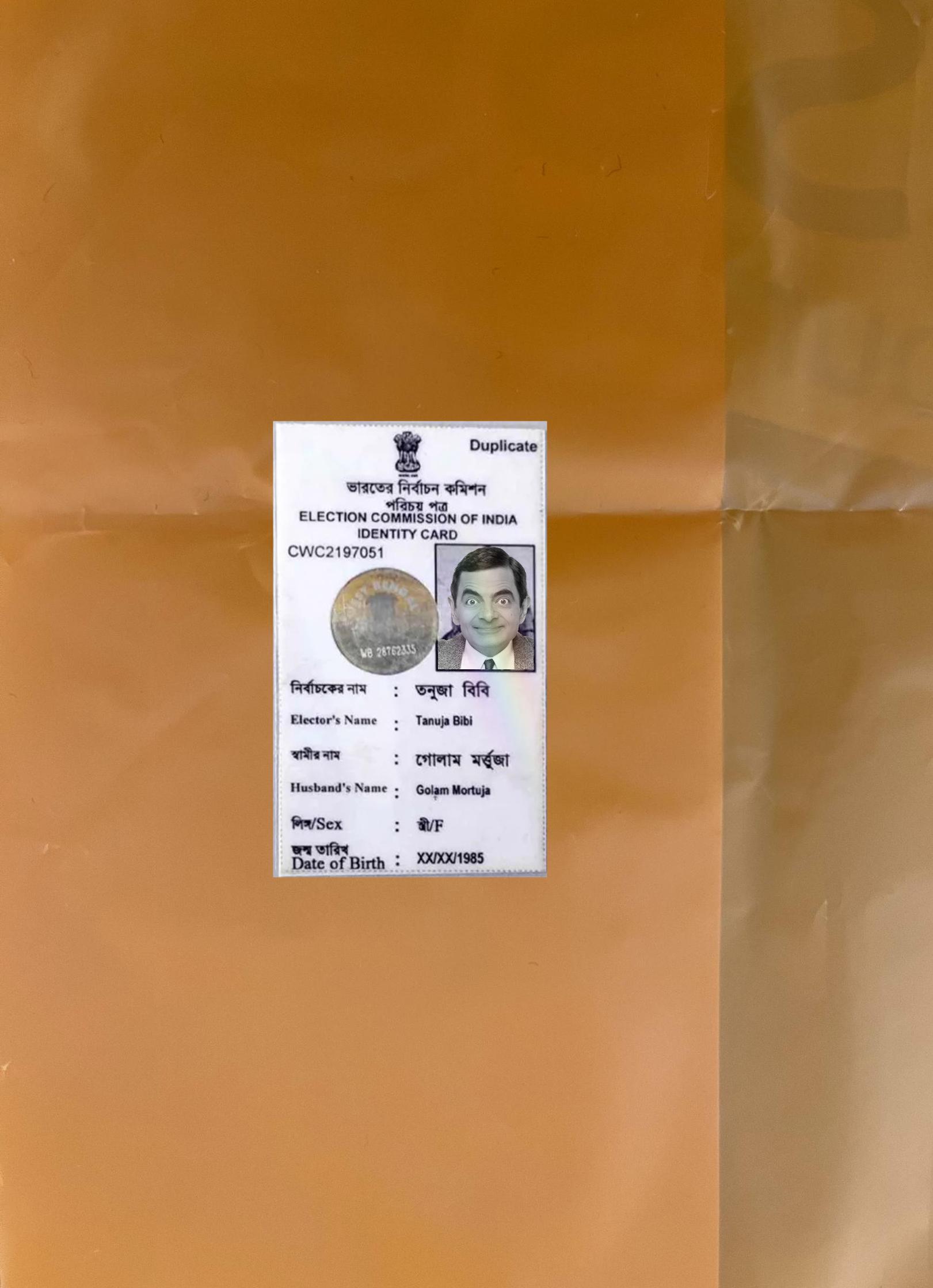 Blank India identity card photolook real example